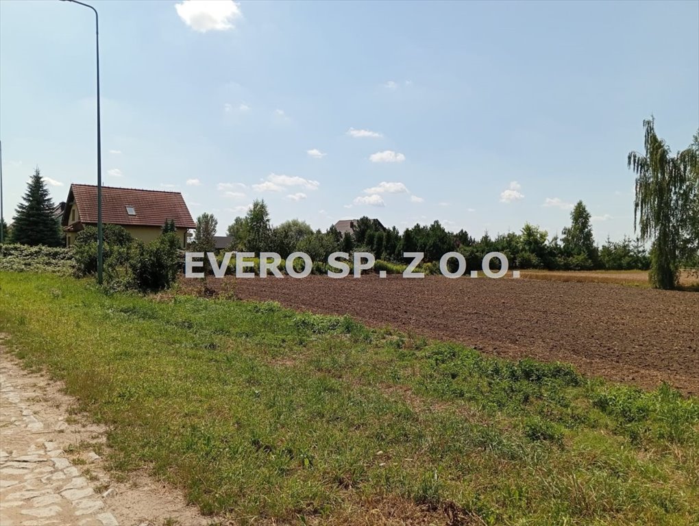 Działka inna na sprzedaż Mnichowice, Mnichowice, 1,2ha - zabudowa zagrodowa, media  3 022m2 Foto 3