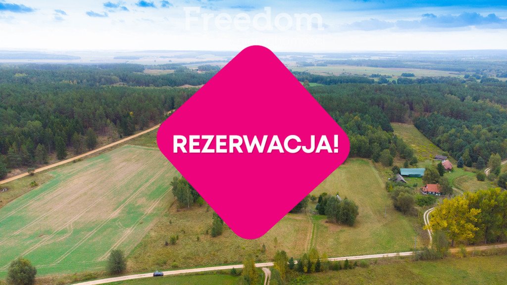 Działka siedliskowa na sprzedaż Łapicze  11 000m2 Foto 2