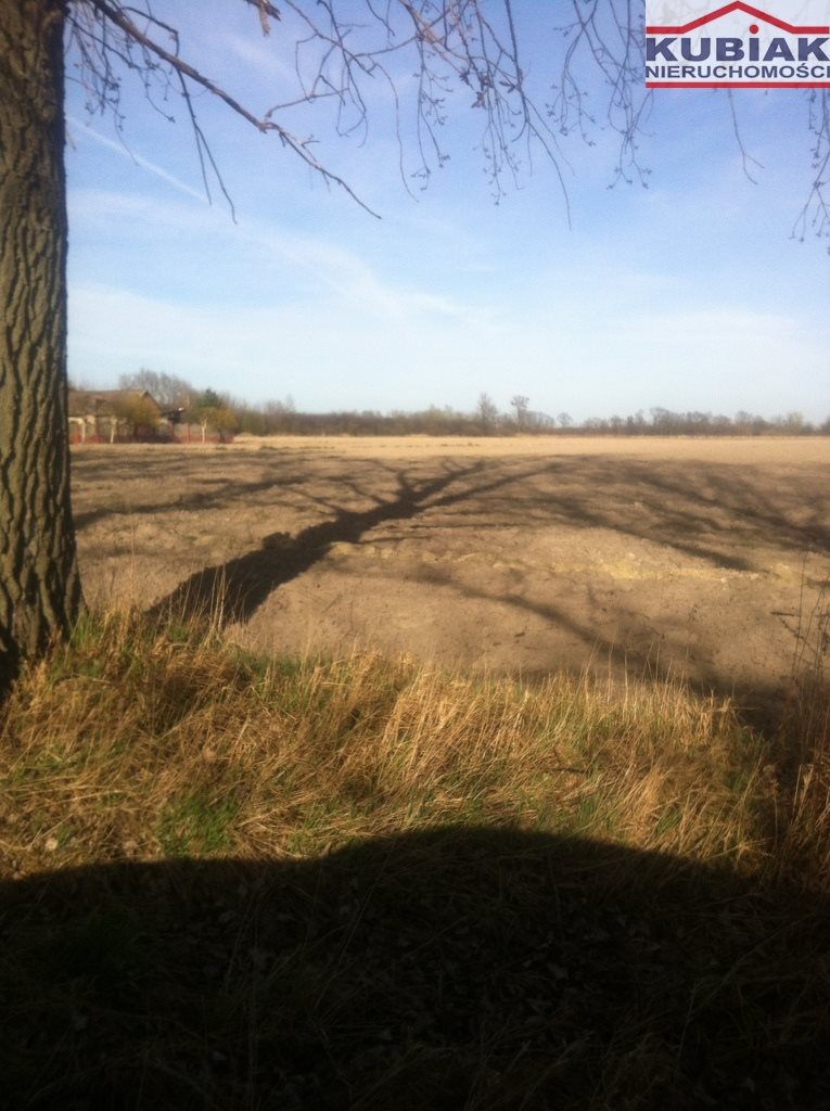 Zapraszam do zakupu działki 1,8 ha pod inwestycję przy lotnisku Żaby  18 000m2 Foto 1