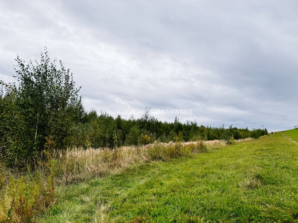 Działka siedliskowa na sprzedaż Lanckorona  7 821m2 Foto 3