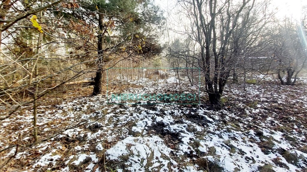 Działka leśna z prawem budowy na sprzedaż Kajetany  1 541m2 Foto 1