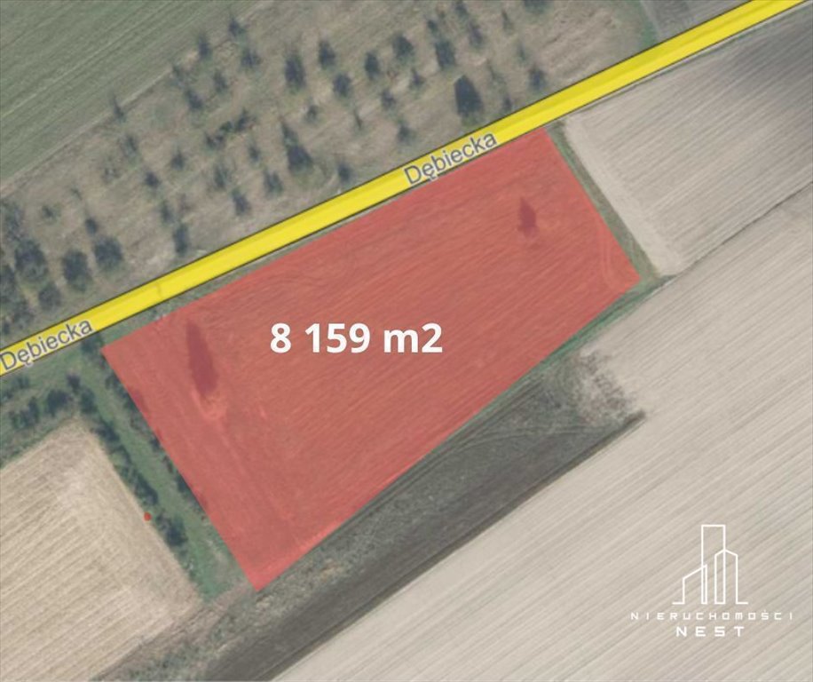 Zapraszam do zakupu działki 8 159 m² z pozwoleniem na budowę Kórnik, Dębiecka Rancho  8 159m2 Foto 1