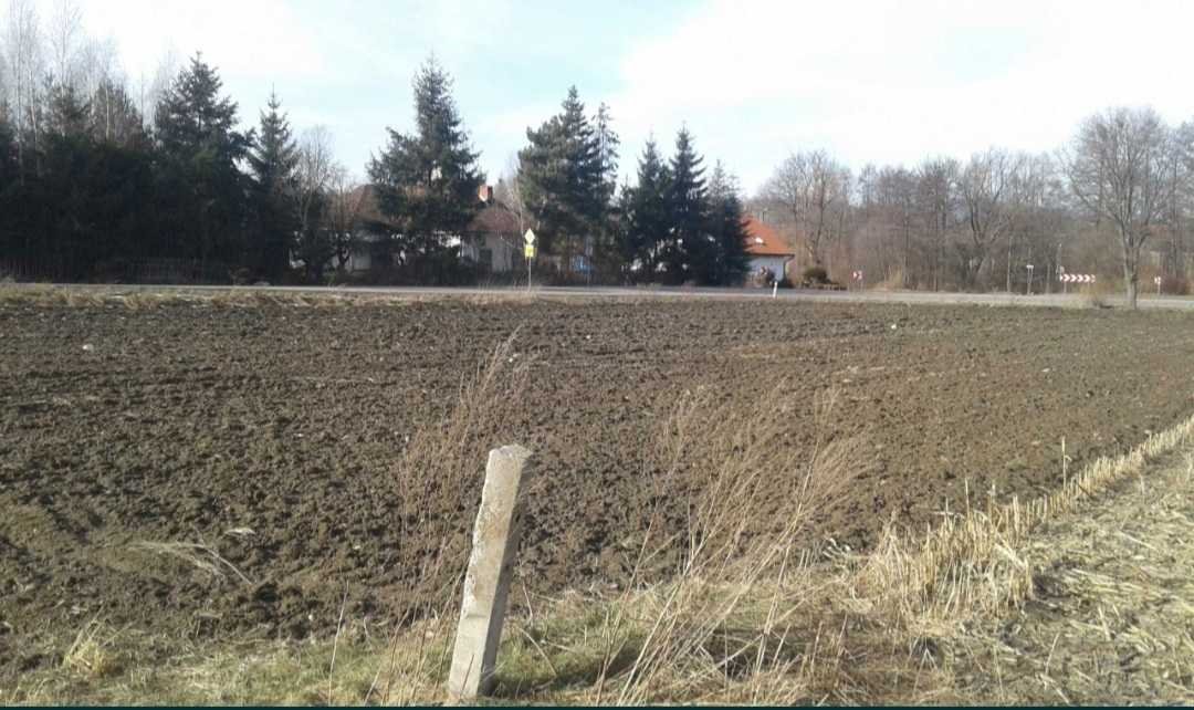 Działka inna na sprzedaż Łagiewniki, Sieniawka  3 500m2 Foto 1