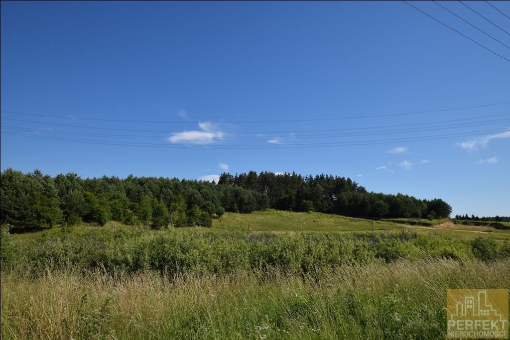 Działka rolna na sprzedaż Wieś Redykajny, Wieś, Redykajny  20 719m2 Foto 10