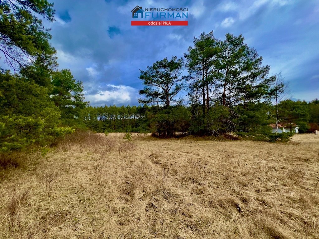 Działka budowlana na sprzedaż Czechyń  1 699m2 Foto 2