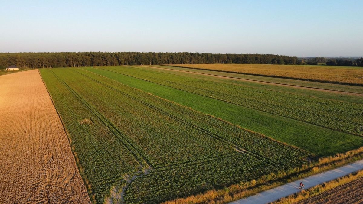 Działka budowlana na sprzedaż Golędzinów  1 072m2 Foto 1