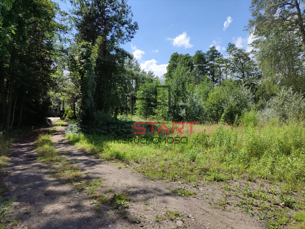 Działka budowlana na sprzedaż Grodzisk Mazowiecki  7 300m2 Foto 4