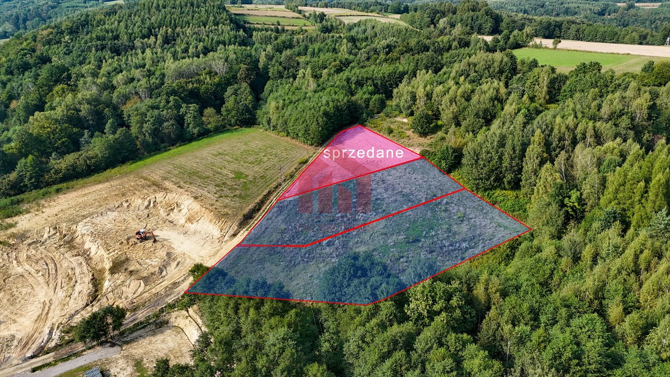 Działka budowlana na sprzedaż Niedźwiada  2 480m2 Foto 10