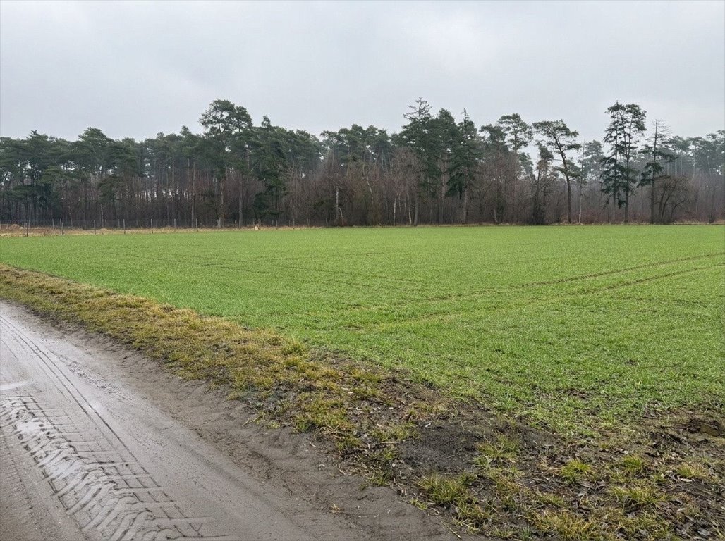 Zapraszam do zakupu działki 2162 m² z warunkami zabudowy i lasem Srocko Małe  2 162m2 Foto 1