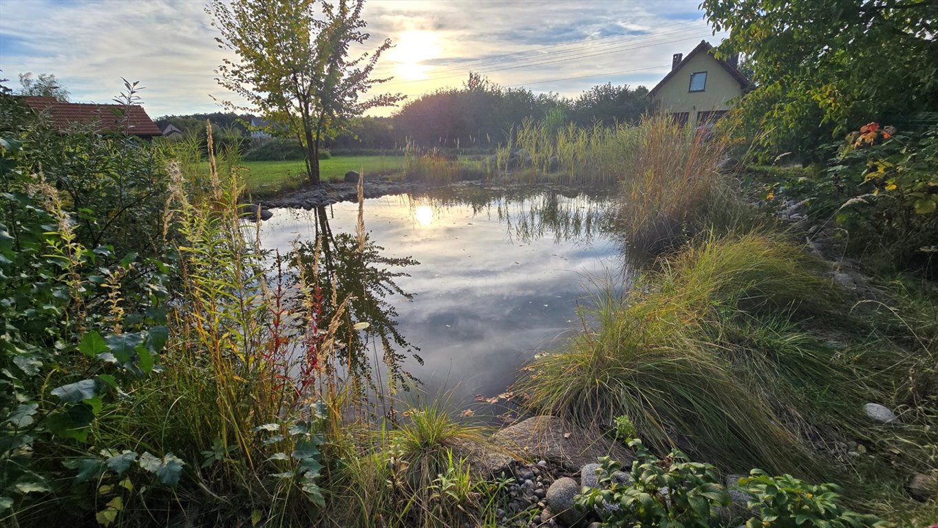 Na sprzedaż działka 1015 m² z oczkiem wodnym w Kotowicach Kotowice  1 015m2 Foto 1