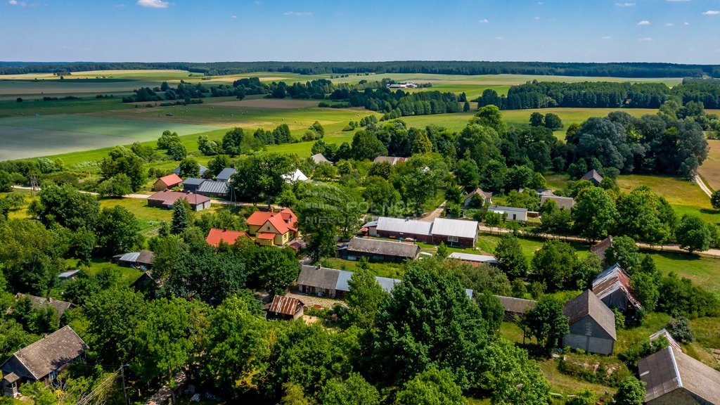 Działka rolna na sprzedaż Mieleszki-Kolonia  3 003m2 Foto 15