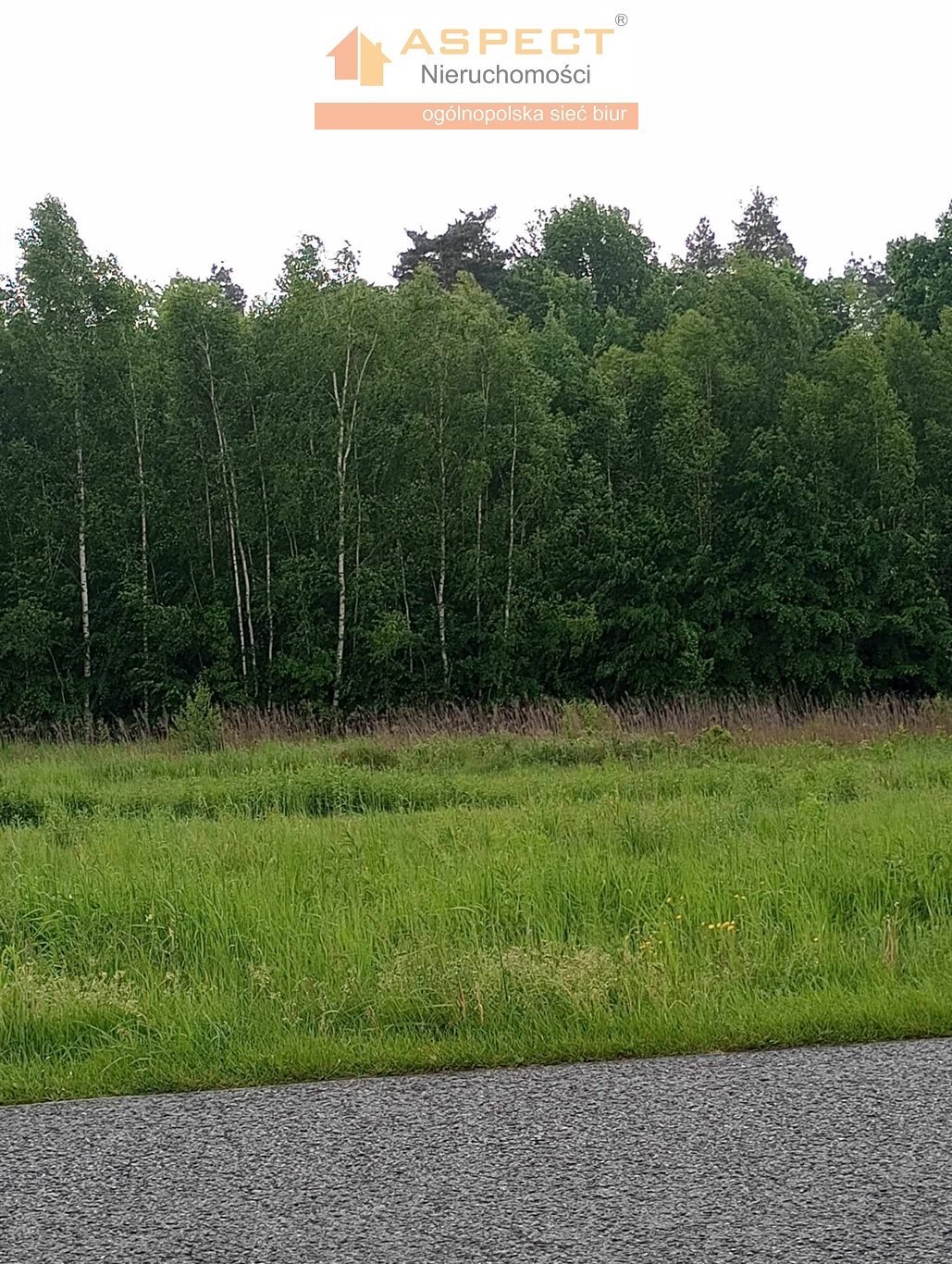 Działka budowlana na sprzedaż grodzisko dolne, grodzisko dolne, zmysłówka  4 720m2 Foto 1