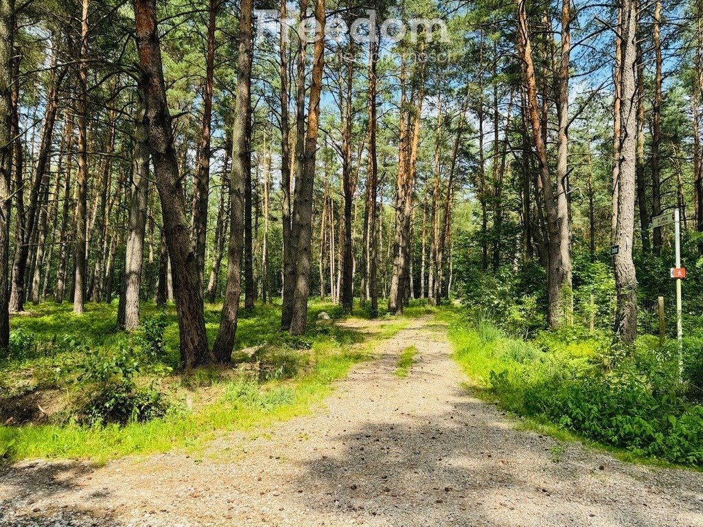 Działka budowlana na sprzedaż Złotokłos, Wierzbowa  4 200m2 Foto 8