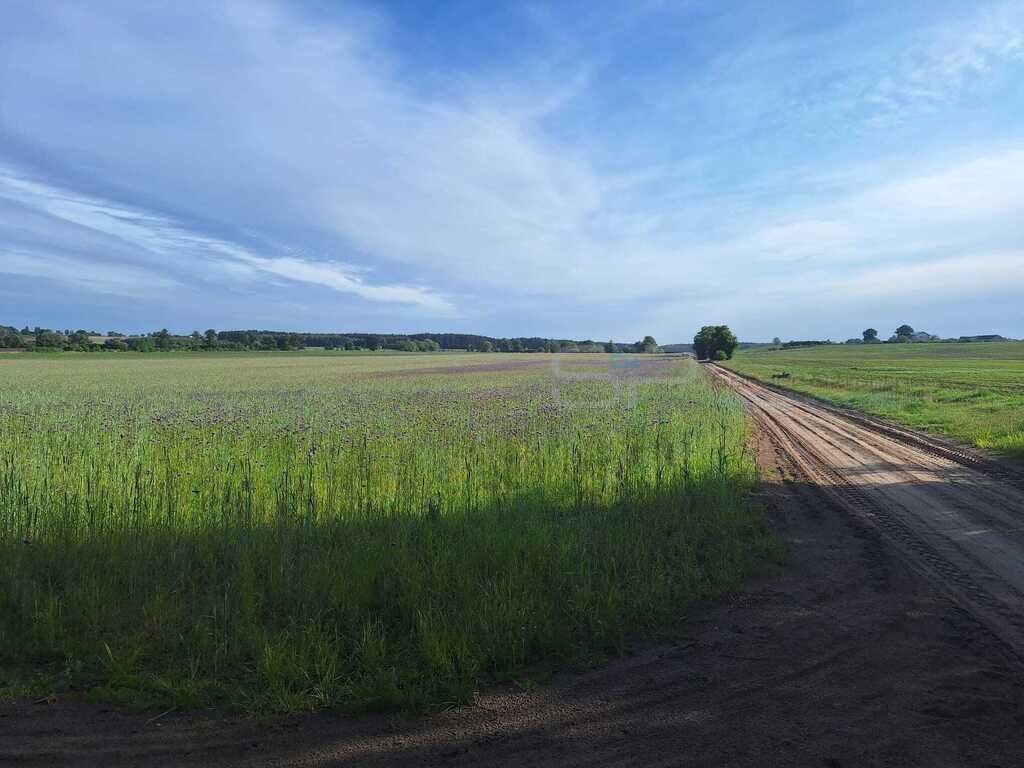 Działka 800 m² w Kiszkowie - spokój, lasy, szybki dojazd Kiszkowo  800m2 Foto 1