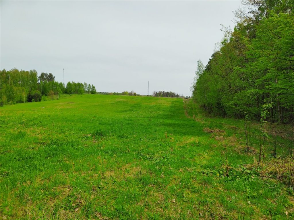 Działka inna na sprzedaż Danowo, Danowo  1 700m2 Foto 17