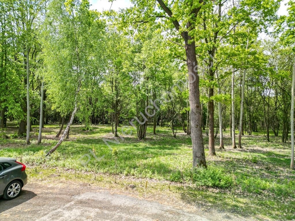 Działka 900 m2 pod dom i działalność w Nadarzynie Nadarzyn  900m2 Foto 1