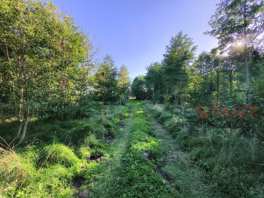 Działka 1244 m² pod dom i rekreację - polecam! Stare Budy Radziejowskie  1 272m2 Foto 1