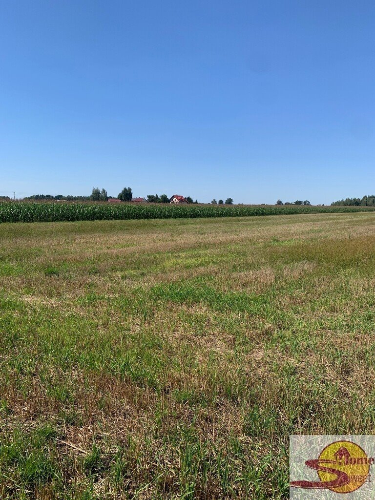 Do sprzedania działka rolna 14 424 m² z III klasy ziemi Przyłęk  14 424m2 Foto 1