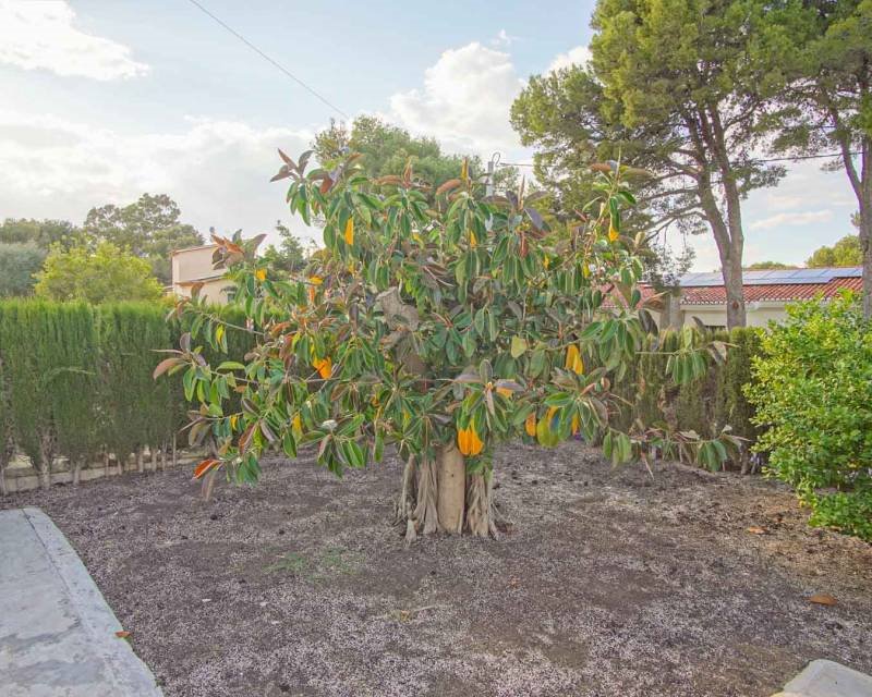 Dom na sprzedaż Hiszpania, Denia, Hiszpania, Las Rotas  426m2 Foto 45