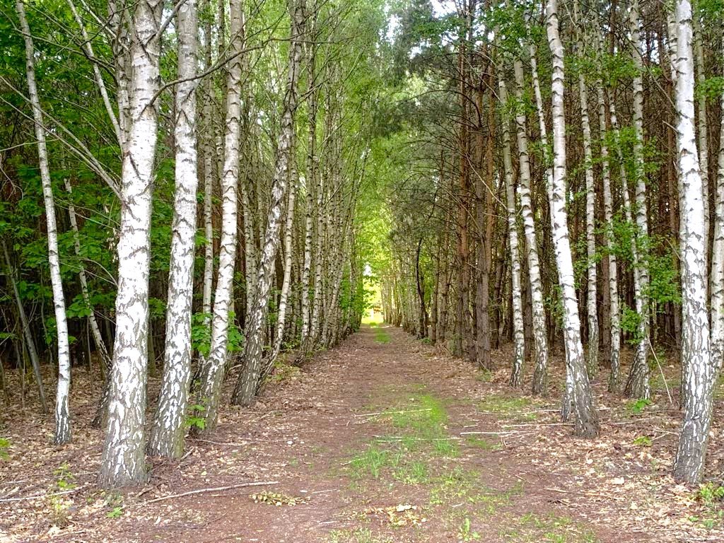 Dom na sprzedaż Podhulanka, Podhulanka  100m2 Foto 1