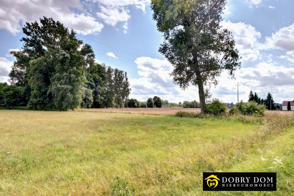 Działka rolna 6 000 m² z możliwością podziału, cisza i przestrzeń Orzechowicze  6 000m2 Foto 1