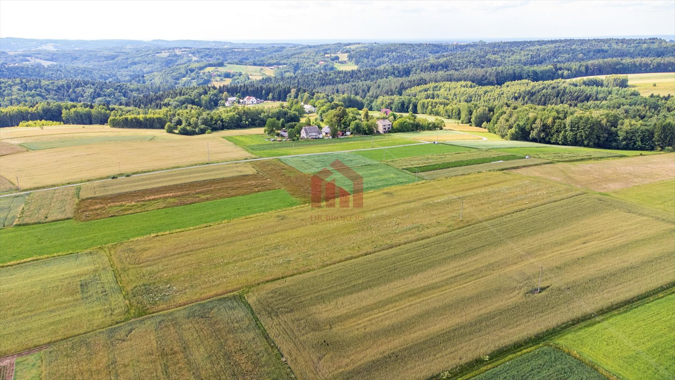 Działka budowlana na sprzedaż Broniszów  3 100m2 Foto 11