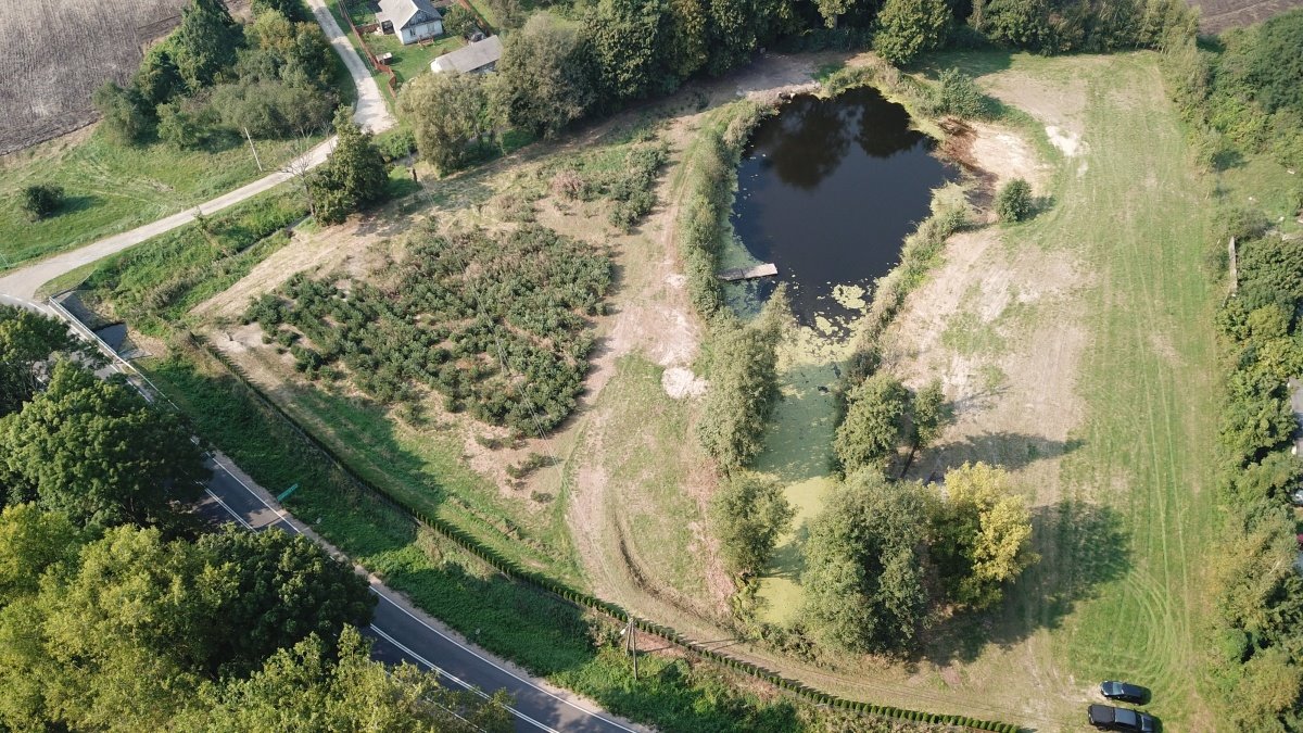 Działka budowlana na sprzedaż Samoklęski, Samoklęski  13 000m2 Foto 3