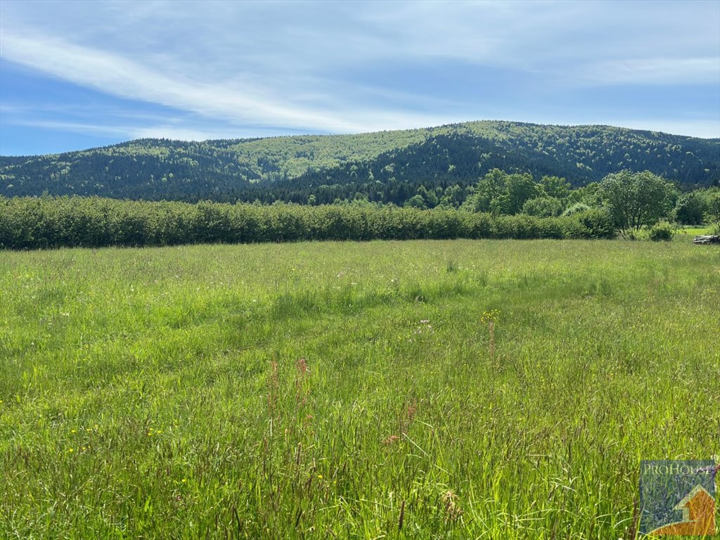 Działka budowlana na sprzedaż Podłopień  4 058m2 Foto 2