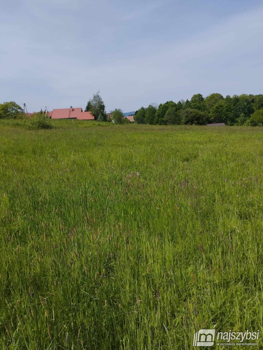 Działka budowlana na sprzedaż Mucharz  2 759m2 Foto 15