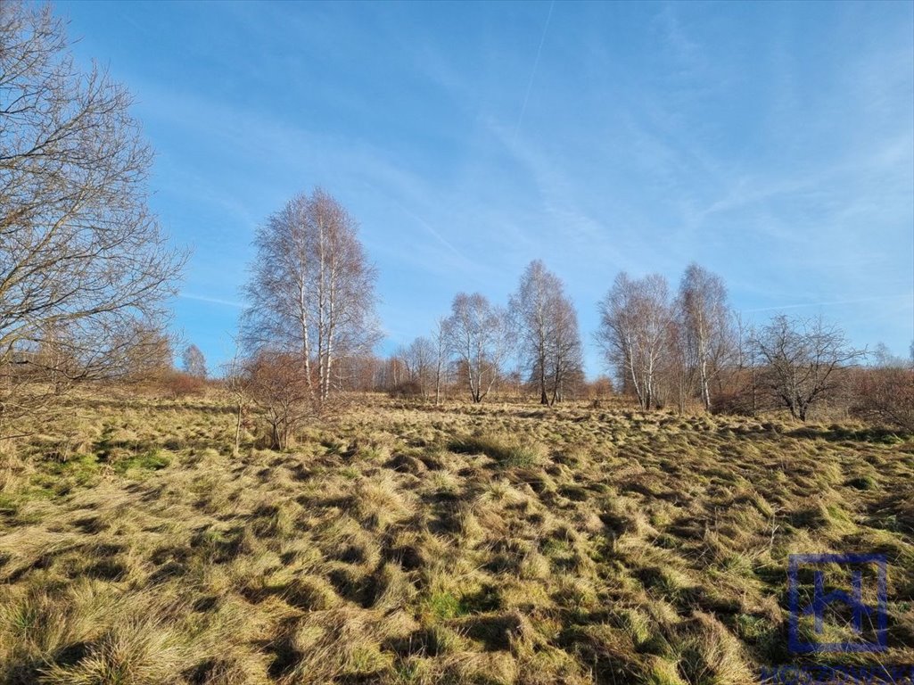 Działka budowlana na sprzedaż Świecie, Świecie  2 450m2 Foto 14