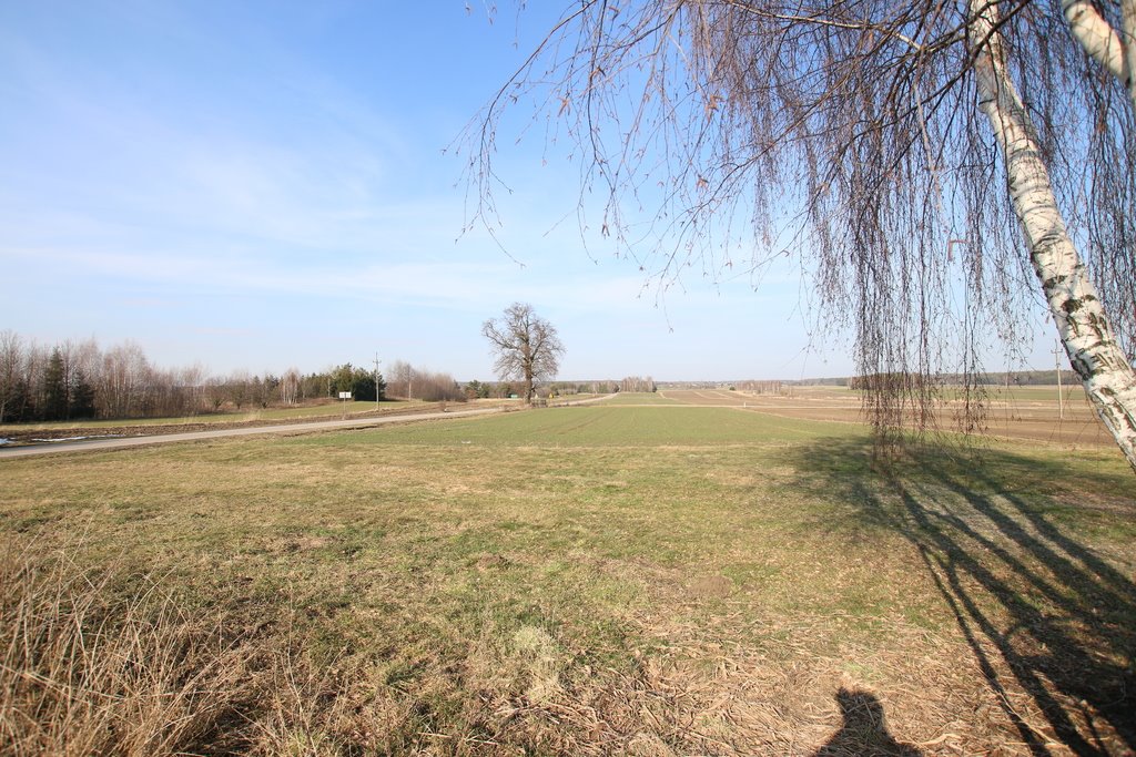 Duża działka 55 ar z mediami i możliwością zabudowy zapraszam Nowa Wieś  5 545m2 Foto 1