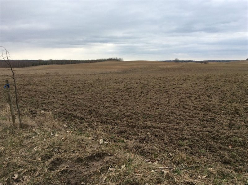 Działka budowlana na sprzedaż Brajniki, Brajniki 1 040m2 Foto 1 Działka budowlana na sprzedaż Brajniki, Brajniki 1 040m2 Foto 1