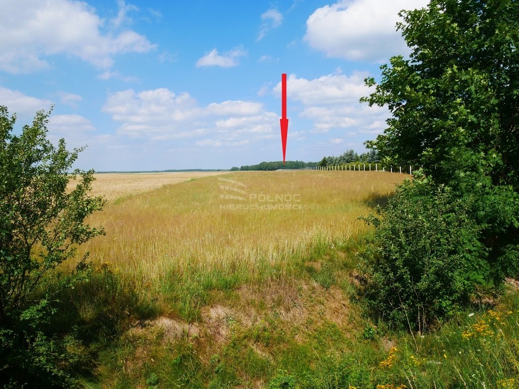 Działka rolna na sprzedaż Zebrzydowa  10 500m2 Foto 2