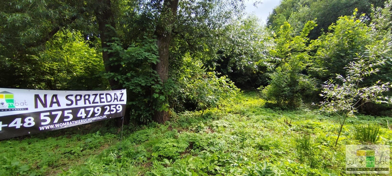 Działka budowlana 18,5 ara z możliwością podziału w Modliszowie Modliszów  1 843m2 Foto 1