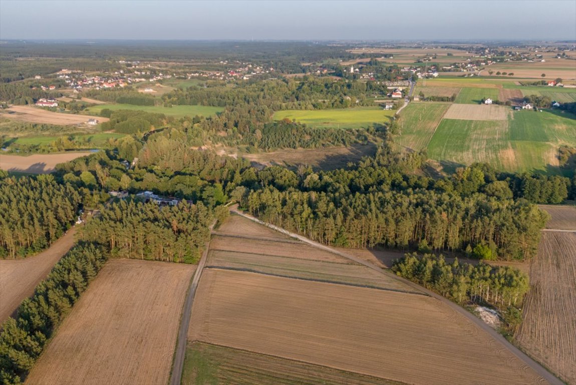 Działka rolna na sprzedaż Jesionka  2 800m2 Foto 10