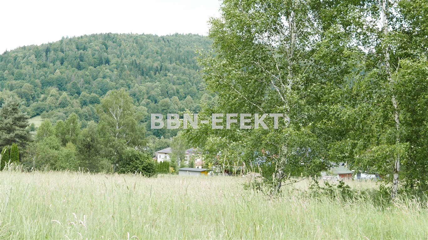 Działka budowlana na sprzedaż Krzyżowa  5 500m2 Foto 6