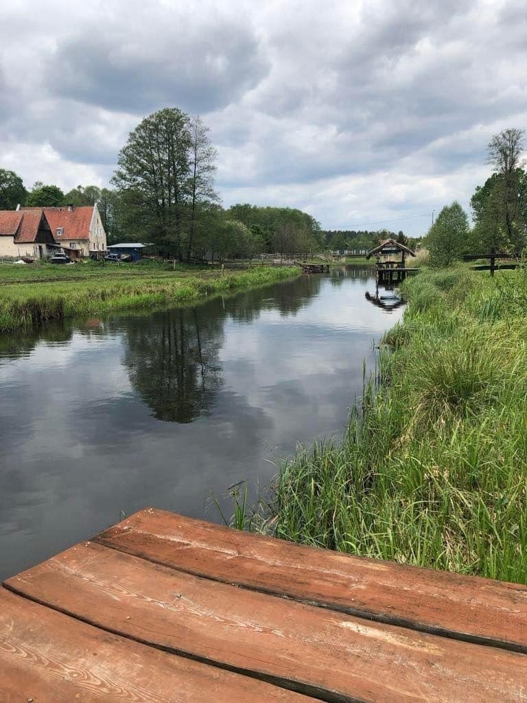 Działka rolna na sprzedaż Wesołowo  2 300m2 Foto 6