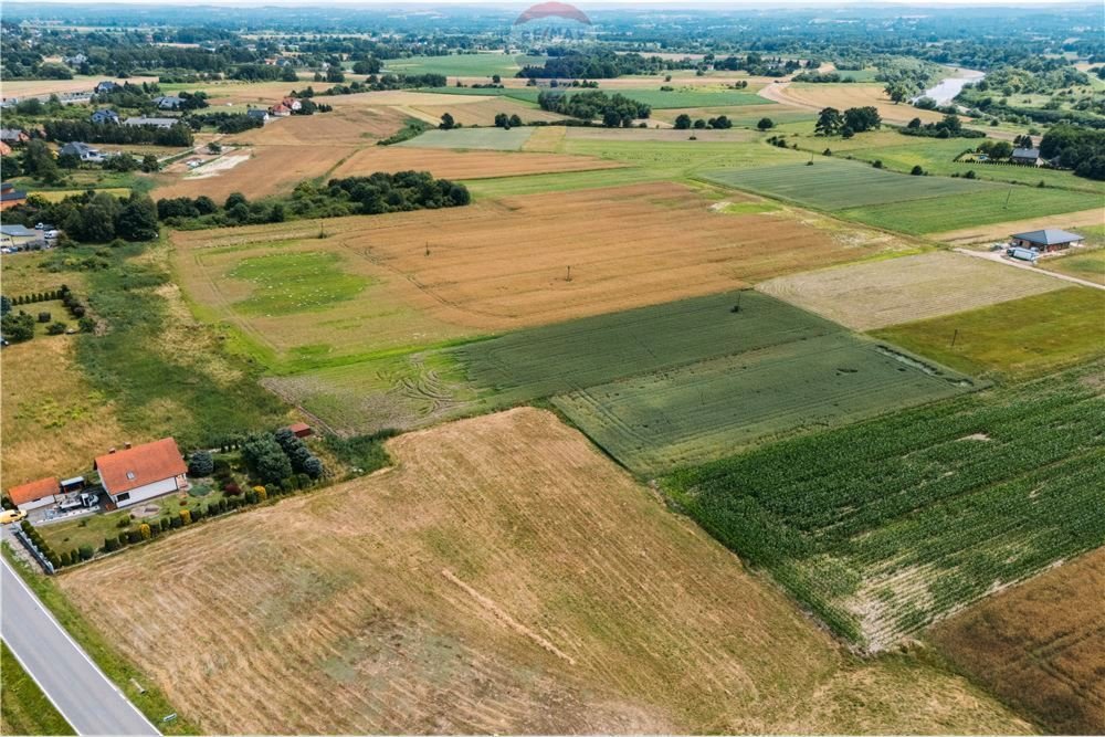 Działka siedliskowa na sprzedaż Kłokoczyn, Sarnia  3 012m2 Foto 13