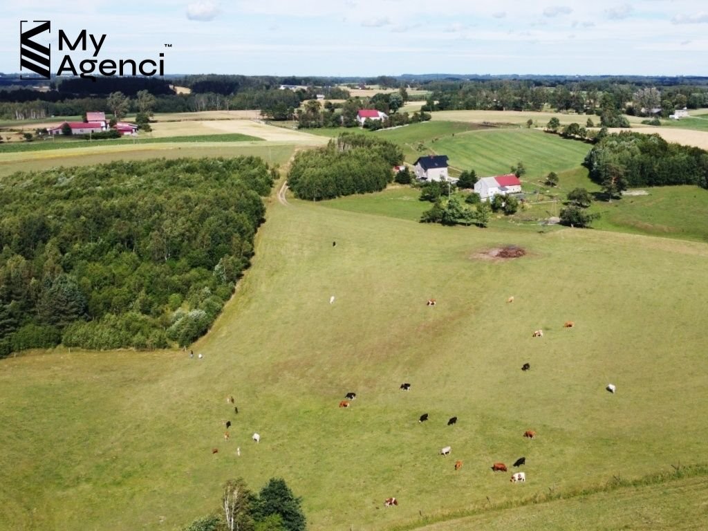 Działka budowlana na sprzedaż Łebno, Kartuska  1 050m2 Foto 4