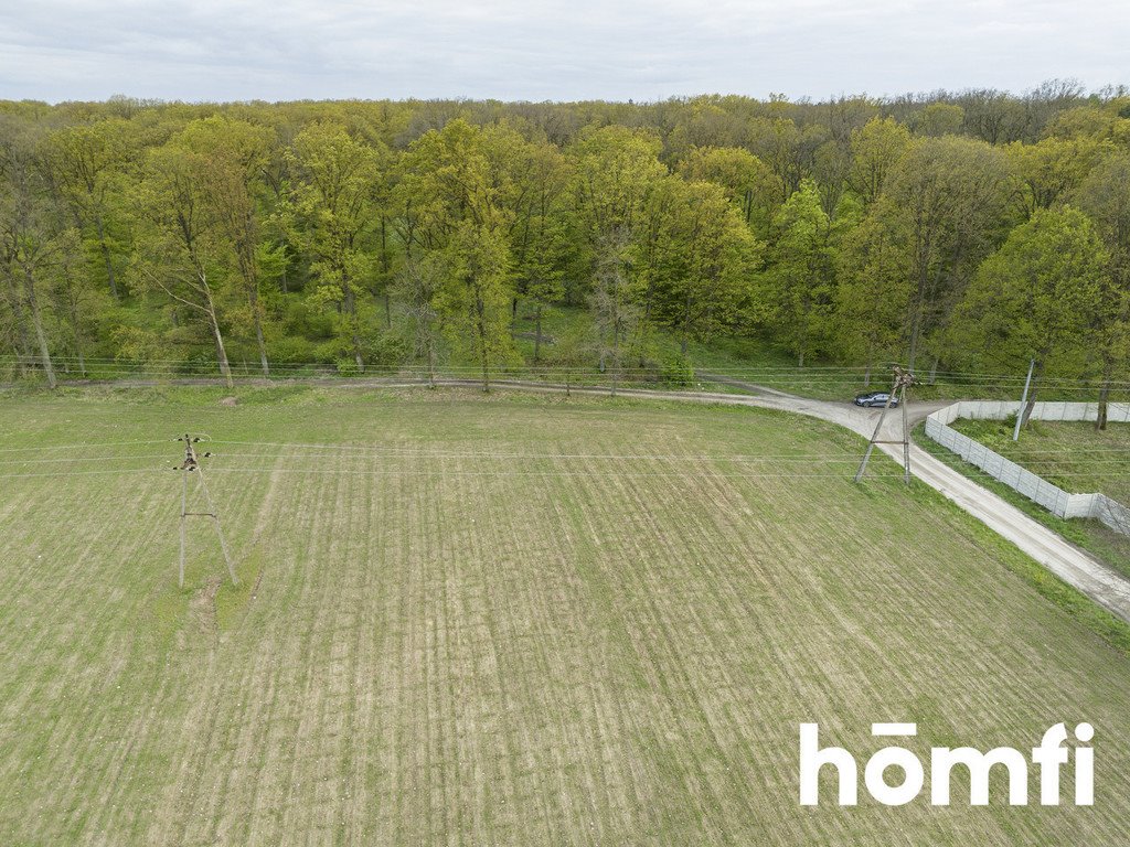 Działka przemysłowo-handlowa na sprzedaż Brzeźno  10 100m2 Foto 7