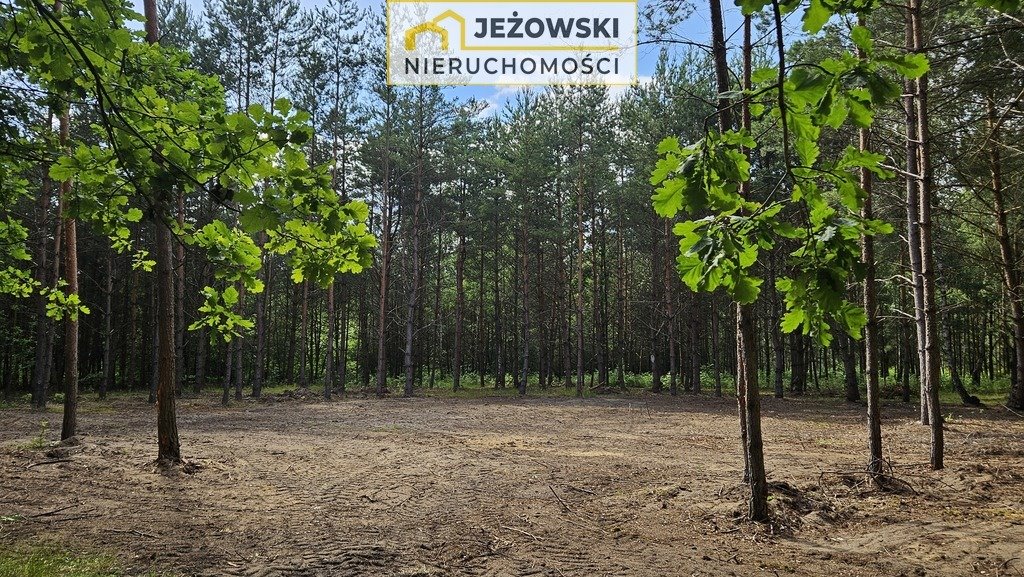 Działka rolna na sprzedaż Nowosiółki  8 500m2 Foto 5