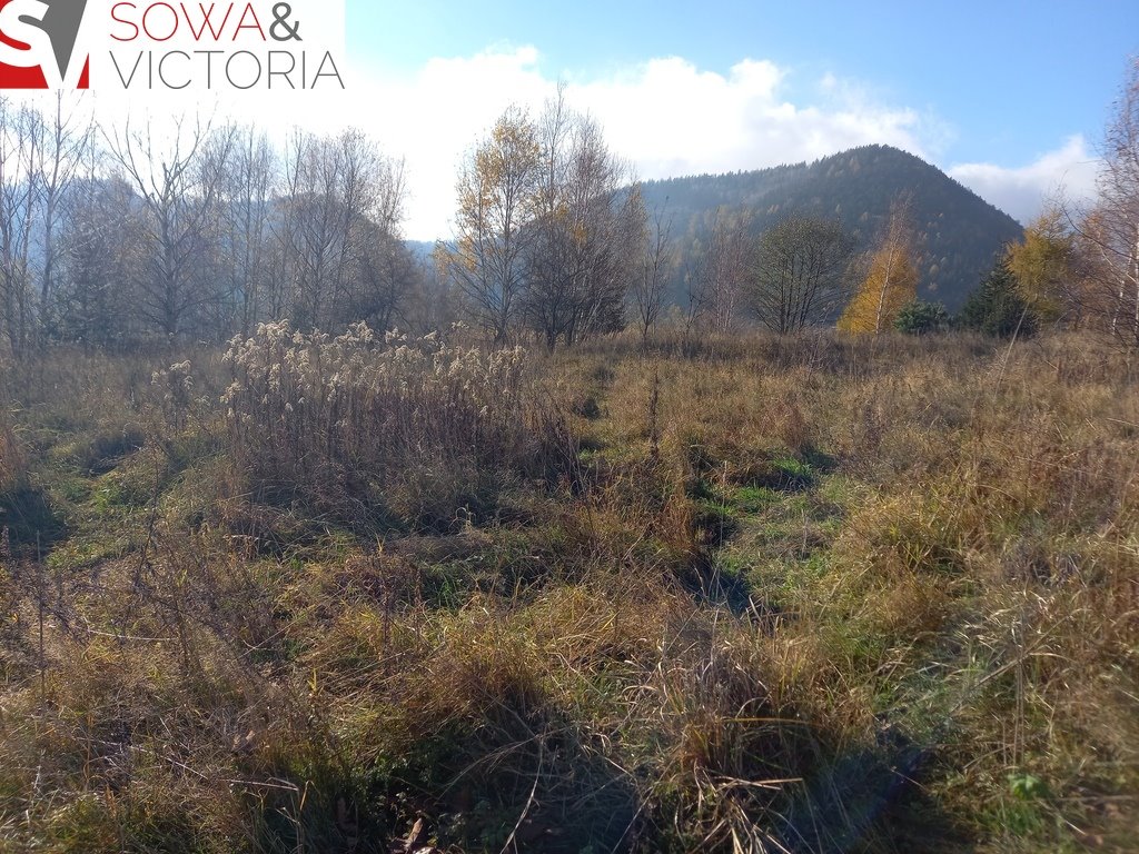 Działka budowlana na sprzedaż Jedlina-Zdrój  21 151m2 Foto 7