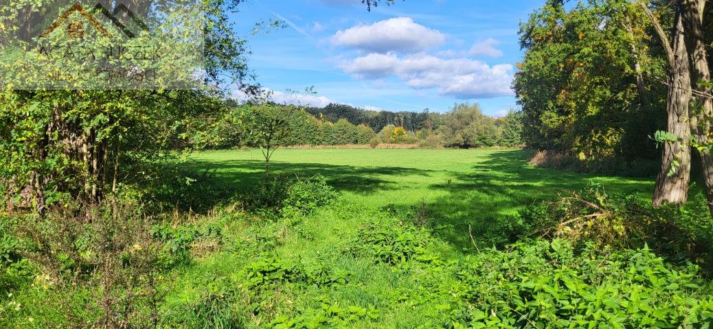 Sprzedam grunt pod osiedle 7 domów w Kamieniu 8 281 m² Kamień  8 281m2 Foto 1
