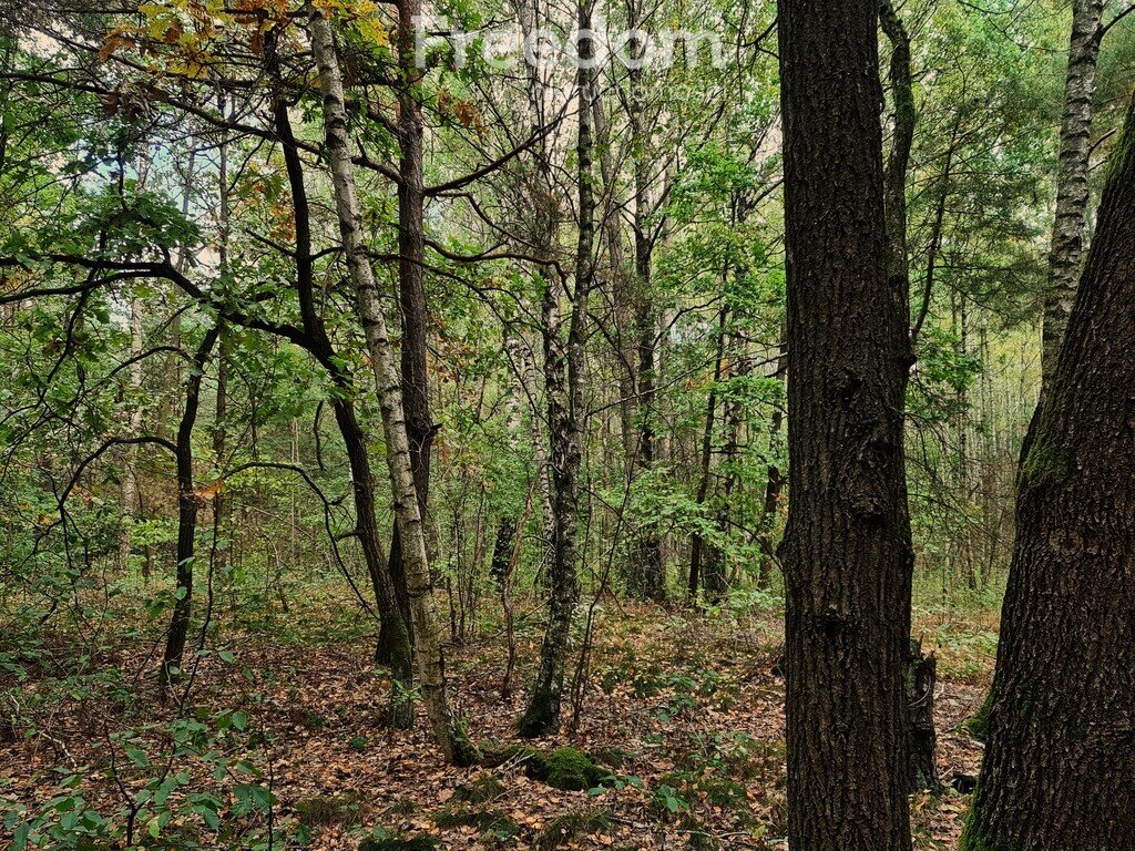 Działka rekreacyjna na sprzedaż Sławiny  18 000m2 Foto 3