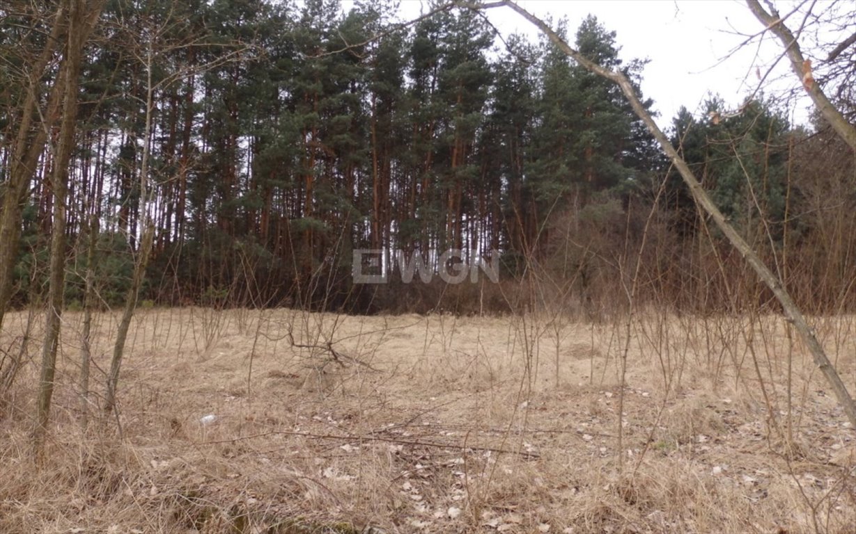 Działka inna na sprzedaż Żarki, Kaliska  2 121m2 Foto 7