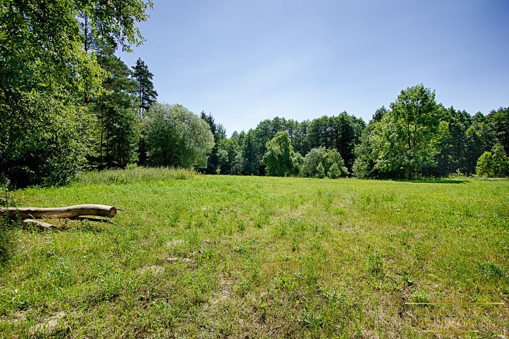 Działka rolna na sprzedaż Kuplisk, Kamienica  28 000m2 Foto 4