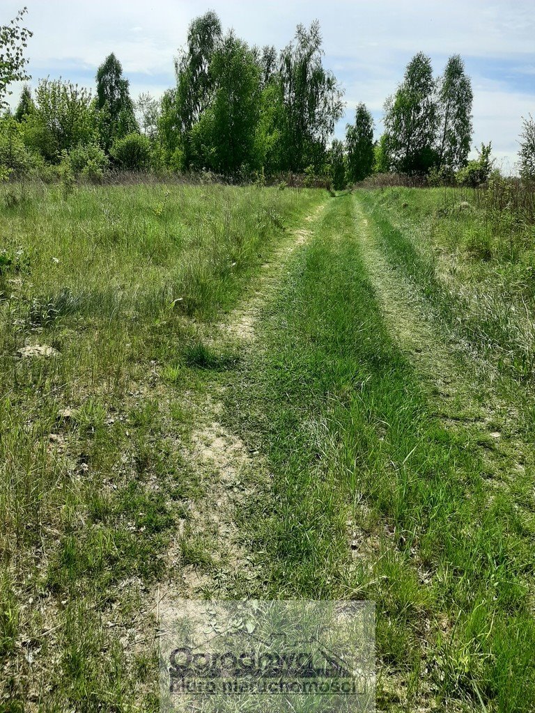 Działka rolna na sprzedaż Cząstków Polski  17 000m2 Foto 1