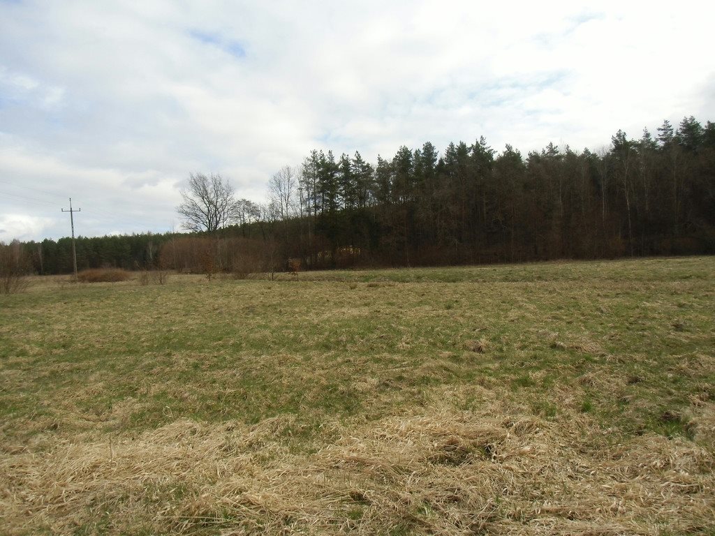 Działka rolna na sprzedaż Tawęcino  136 800m2 Foto 5