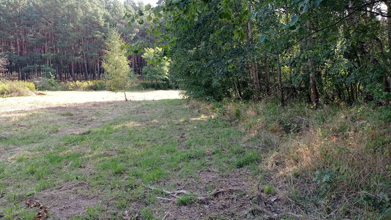 Działka budowlana na sprzedaż Poznań, Umultowo, Umultowo, Nadwarciańska  3 137m2 Foto 2