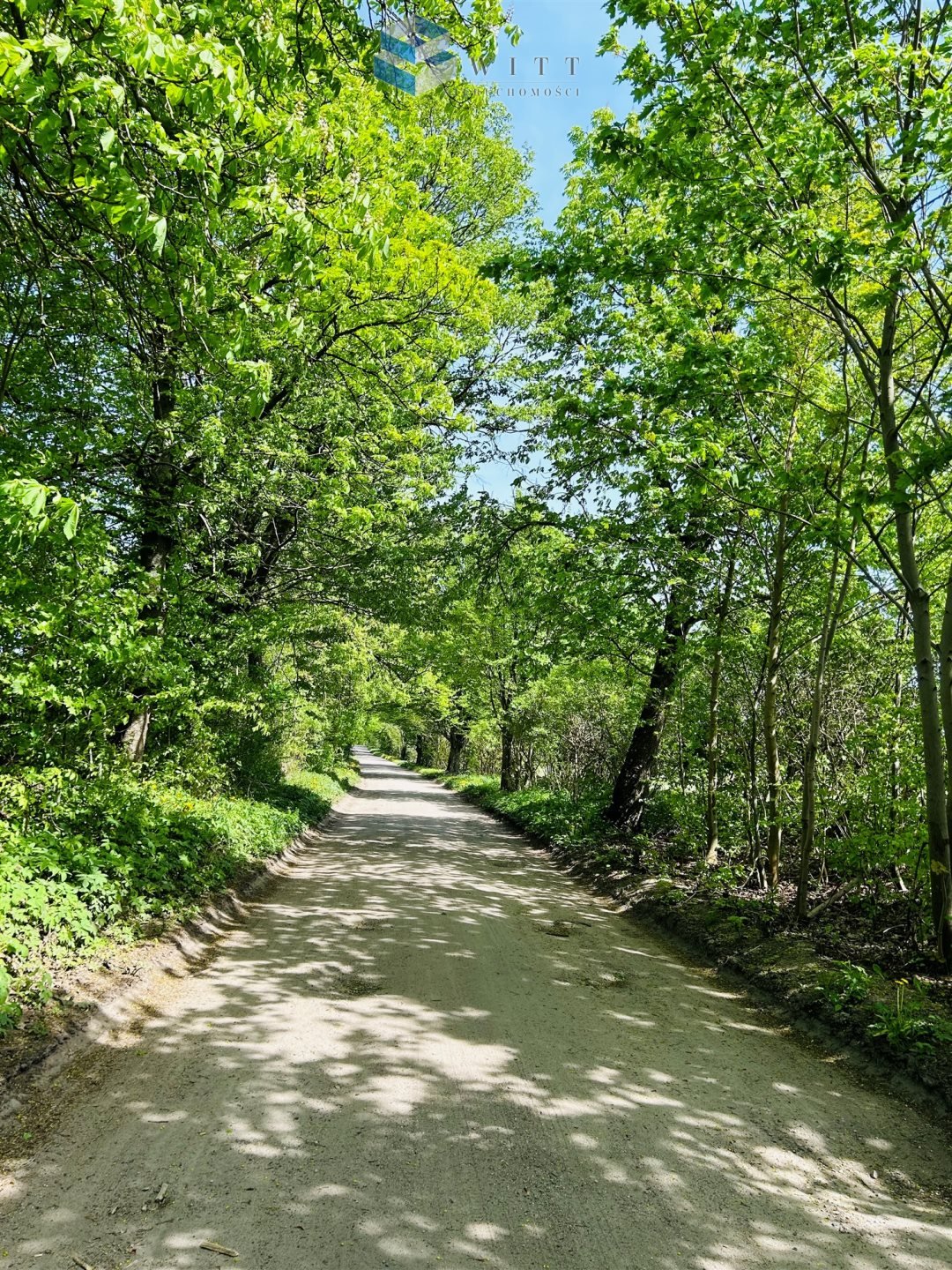 Dom na sprzedaż Ostróda  65m2 Foto 4